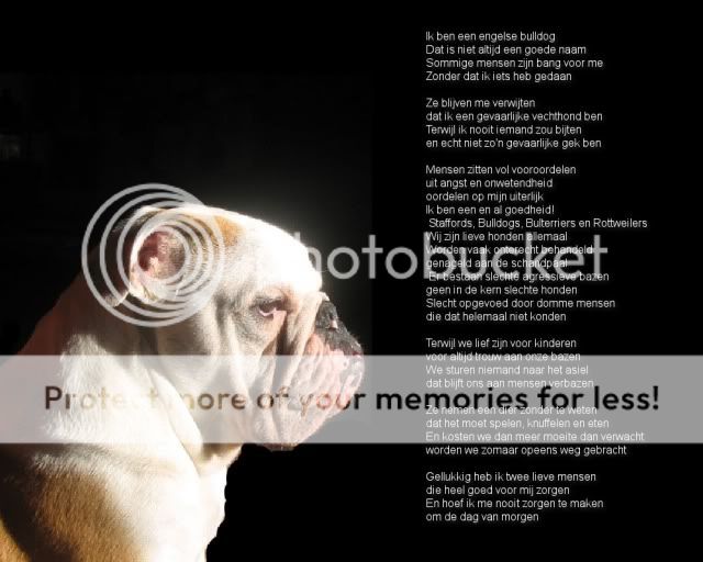Wonderbaar bulldog gedicht | HondenForum HR-27